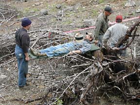 Stretcher Carry task